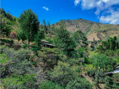 For Sale Adobe Home Hidden in the Trees, 2 dormitorios