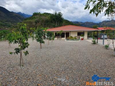 Quinta en Yunguilla con 2 casas, piscina y árboles frutales, 30000 mt2, 6 dormitorios