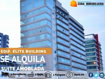 SE ALQUILA SUITE AMOBLADO 46M2 ELITE BUILDING. (COD. 416), 46 mt2, 1 dormitorios